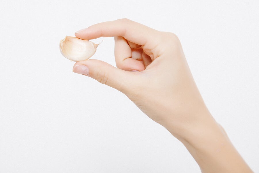 female hand holding peeled garlic clove.