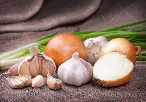 Onion and garlic