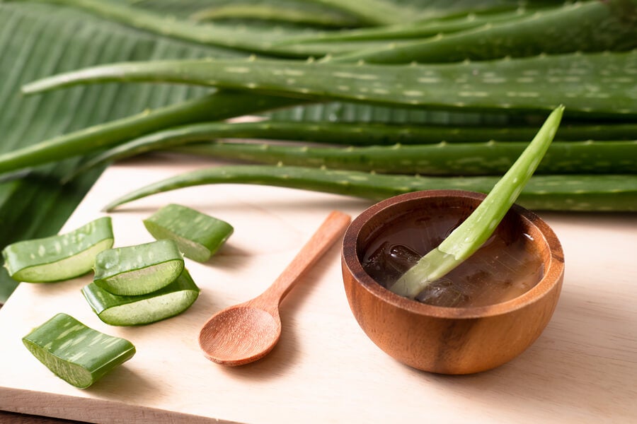 Aloe vera is a plant with various uses and applications.