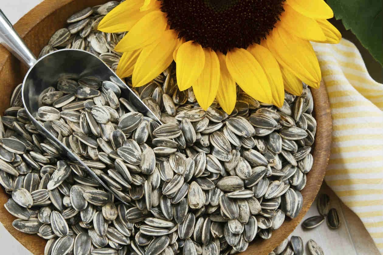 Sunflower seeds, foods rich in biotin