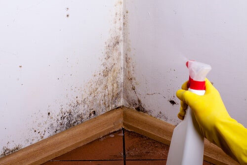 Stained walls: degreaser to clean stains