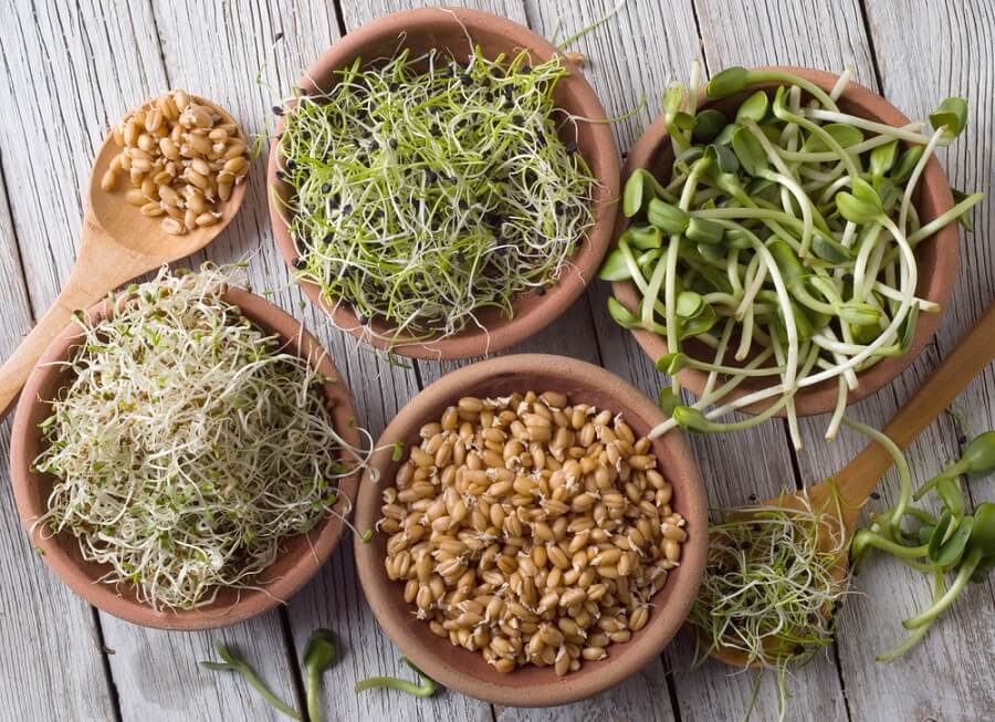 Sprouts are a very nutritious option to eat legumes.