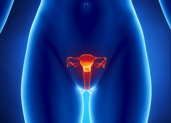 Ovarian Diseases: Symptoms and Treatments